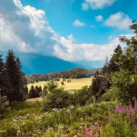 Charmant Appartement Confortable Pour 6 Personnes 40M2 Pied Pistes, Wifi, Parking Chamrousse Exterior foto