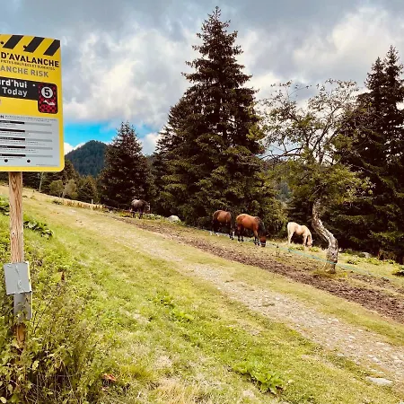 Charmant Appartement Confortable Pour 6 Personnes 40M2 Pied Pistes, Wifi, Parking Chamrousse Exterior foto