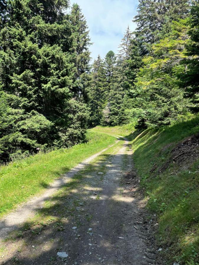 Apartment Confortable Pour 6 Personnes 40m2 Pied Pistes, Wifi, Parking