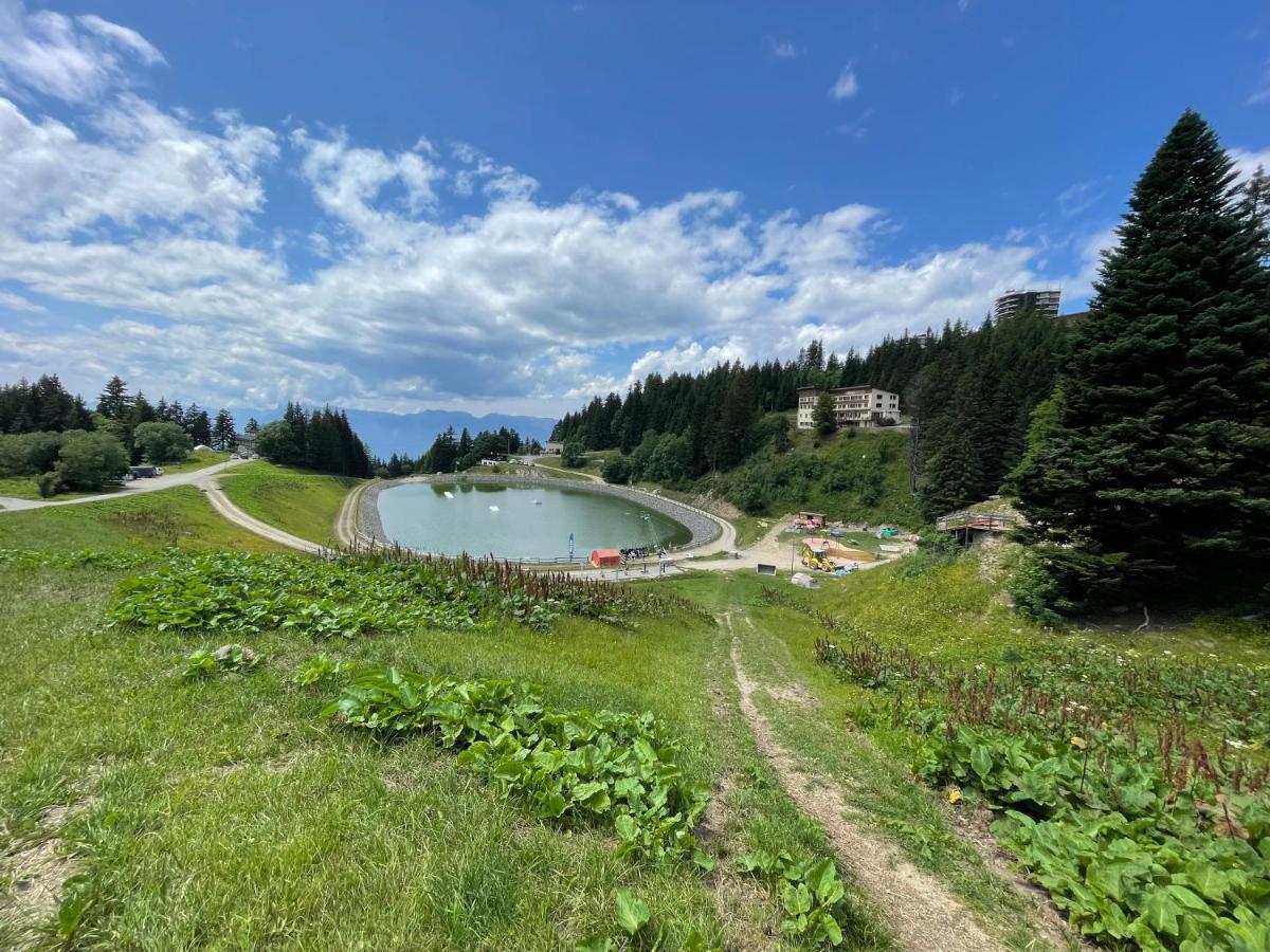Confortable Pour 6 Personnes 40m2 Pied Pistes, Wifi, Parking